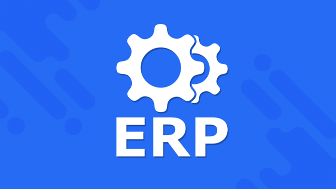 custom erp software developed