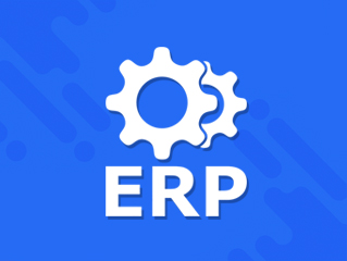 custom erp software developed